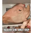 اسٹیکر