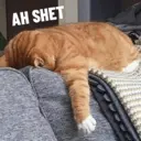 Stika