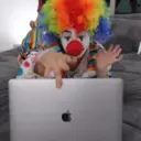 Samolepka
