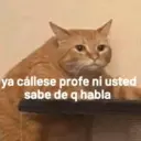 Stika