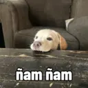 Límmiði