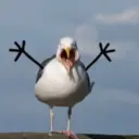 ਸਟਿਕਰ