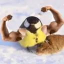 ਸਟਿਕਰ