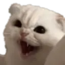 استیکر