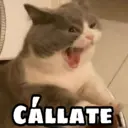 ملصق