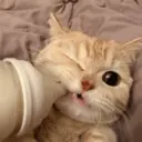 استیکر