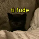 Límmiði