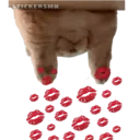Samolepka