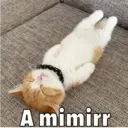 Klistermärke
