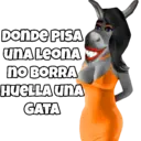 Nhãn dán