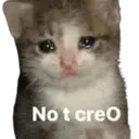 Límmiði