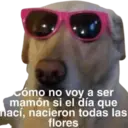 Límmiði