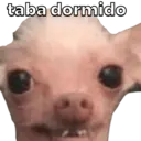 Límmiði