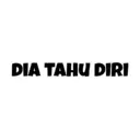 Stika
