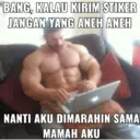 Stika
