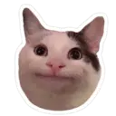 Стикер