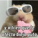 Stika