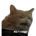 מדבקה