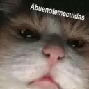 מדבקה