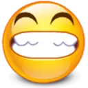 贴纸