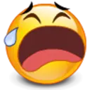 贴纸