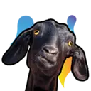 ස්ටිකර්
