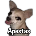 Stika