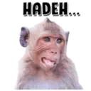 מדבקה