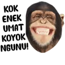 Çıkartma