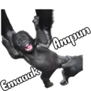 Çıkartma