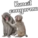 Çıkartma