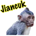 Çıkartma