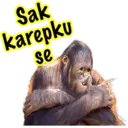 Çıkartma