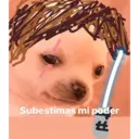 Límmiði