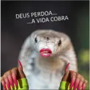 Figurinha