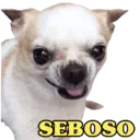 Figurinha