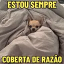 스티커