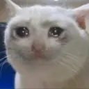 Límmiði