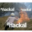 Stika