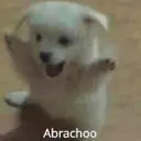 Figurinha
