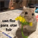 Figurinha