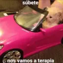 Figurinha