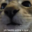 Figurinha