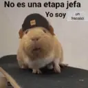 Figurinha