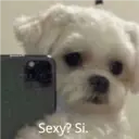 Figurinha