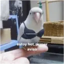 스티커