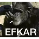 מדבקה