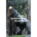 מדבקה