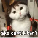 Կպչուն պիտակ