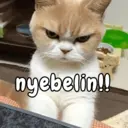 Կպչուն պիտակ